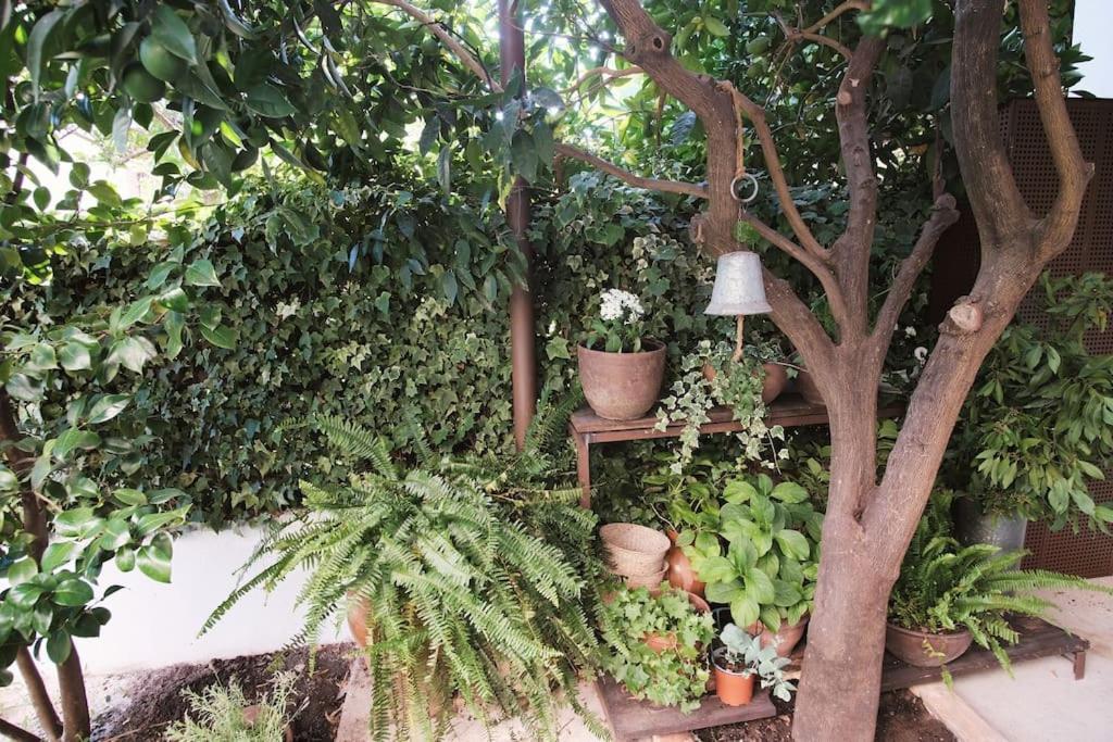 La Casa Del Jardin Vila Candeleda Exterior foto