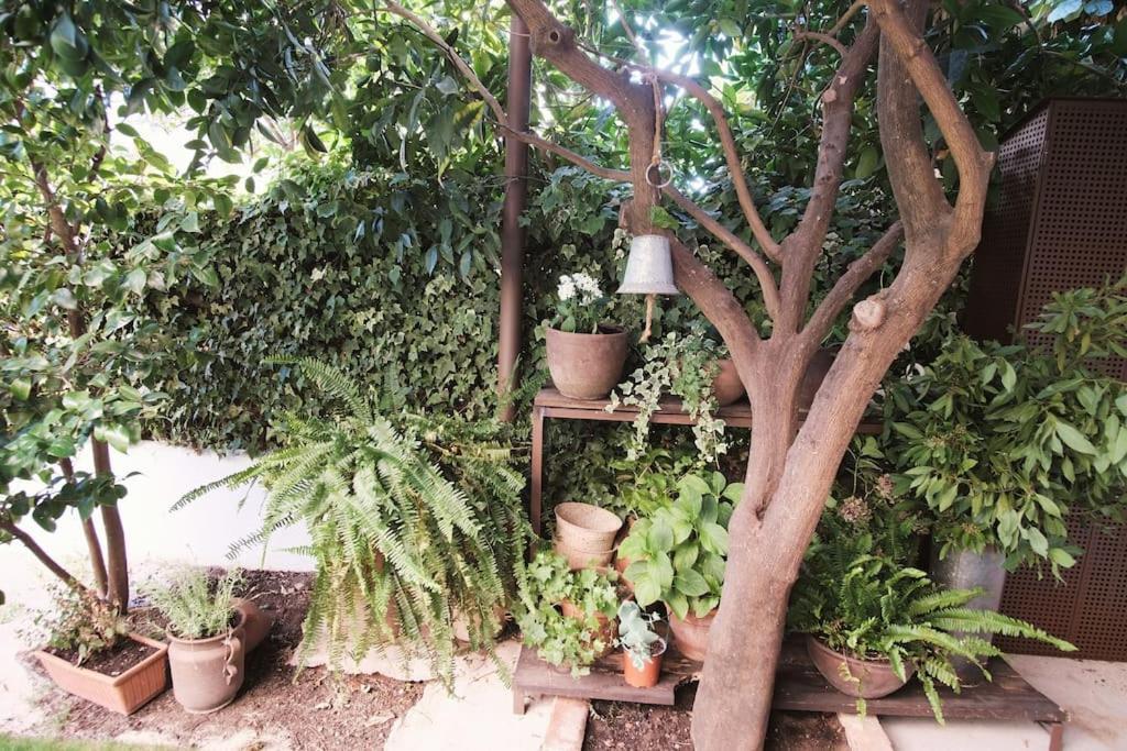 La Casa Del Jardin Vila Candeleda Exterior foto